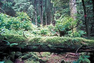 Forrester Island Wilderness in the U.S. state ...