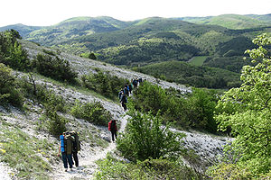 in a hike