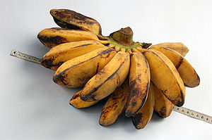 Pisang