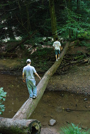 Hiking and exploring might be considered adven...